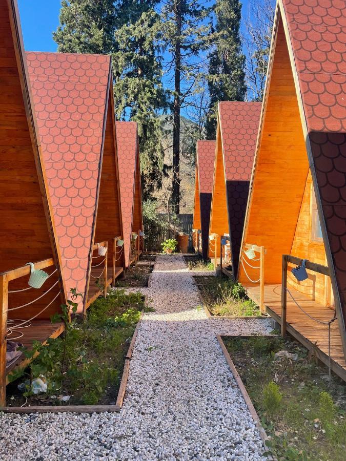 Apartamento Gemicihan Bungalov Adrasan Exterior foto